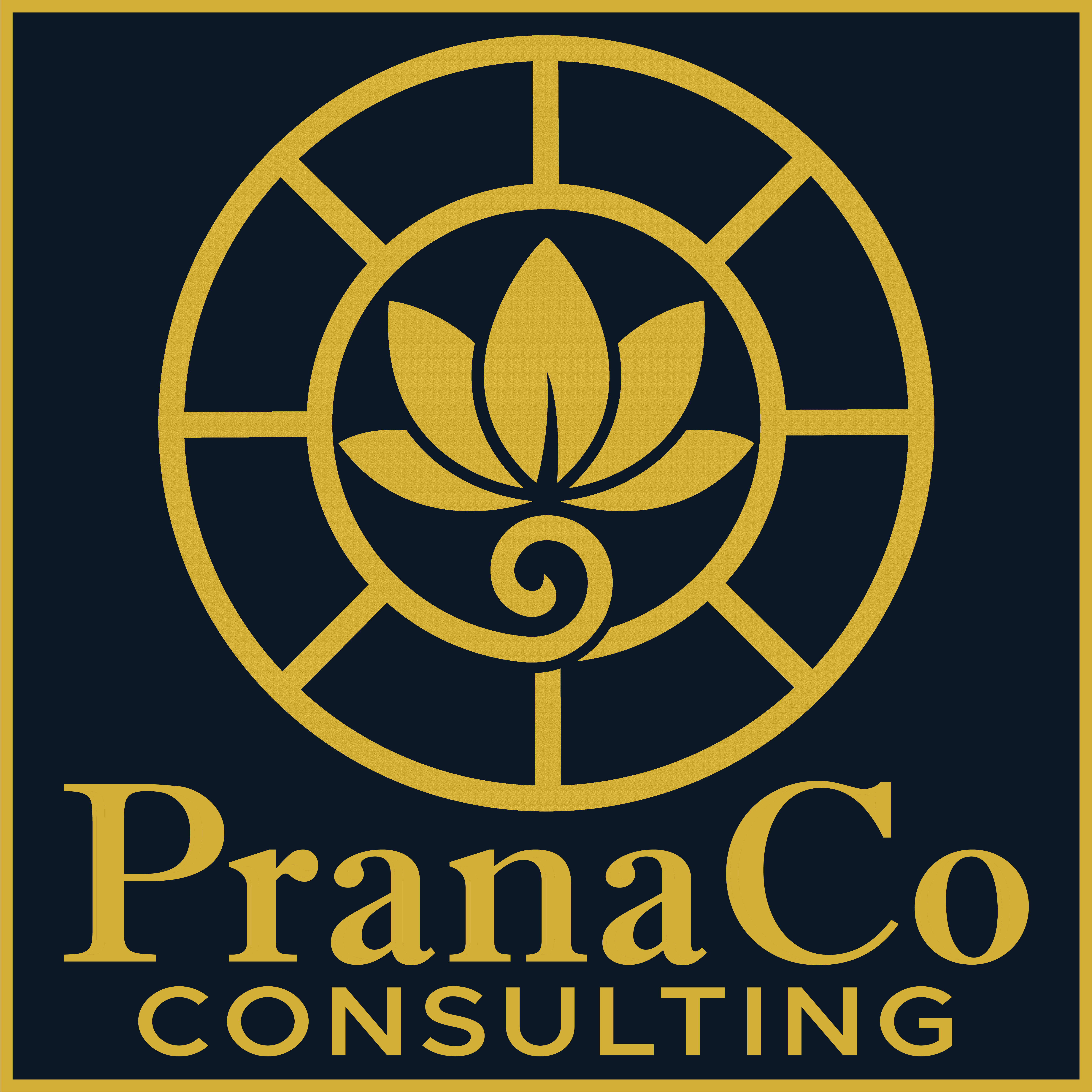 Pranaco Consulting Logo